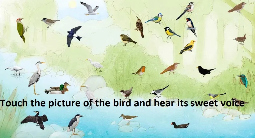 Touch the picture of the bird and hear its sweet voice