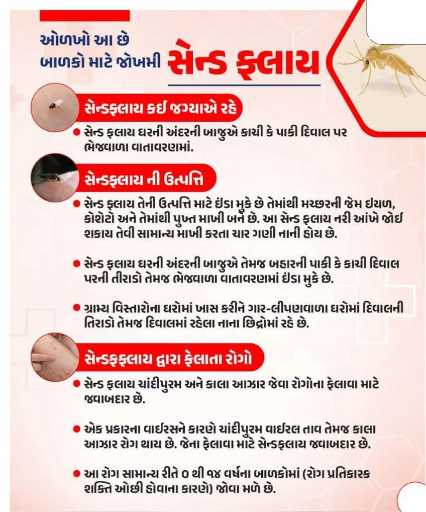 Sand fly Chandipuram fever dangerous for children
